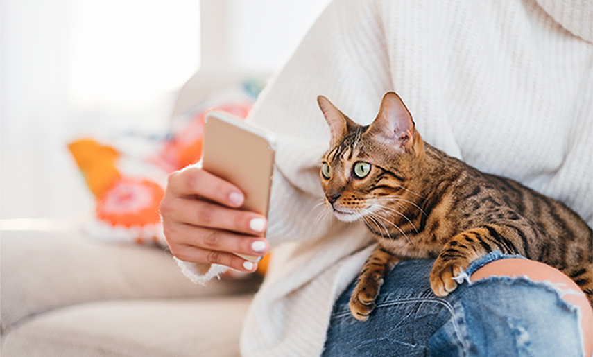 5 FREE Amazing Apps For Cat Owners In 2022